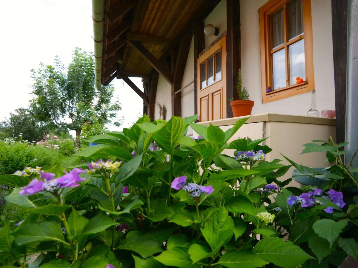 Hotel Selanka Off Road Hill View Moravske Lieskove Exterior foto